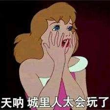 盘点那些奇葩评论笑到肚子疼,盘点奇葩网友脑洞大开的评论