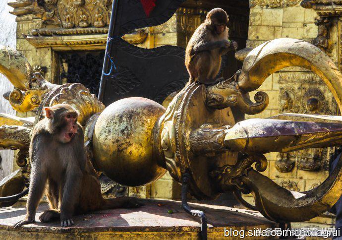 高山王国，千佛之国，佛教发源地，世界唯一非矩形*旗国**——尼泊尔