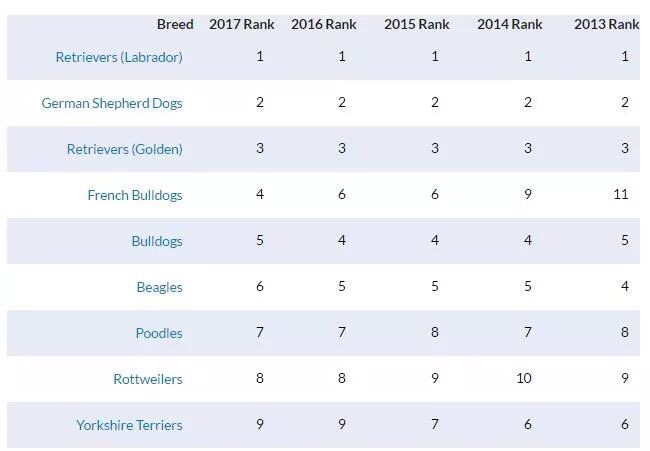 如何养好法斗必知的健康问题,法斗没养好不会爆头吗
