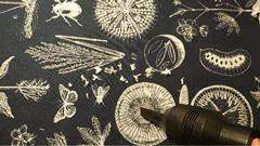 手持小型强力便携吸尘器,德国高档手持便携吸尘器