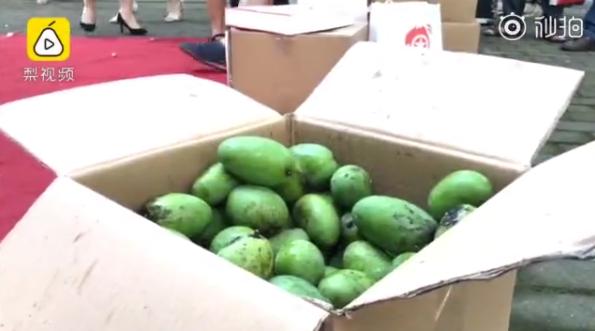 男生邀请奶奶走毕业红毯：她从小照顾我，最辛苦功劳最大