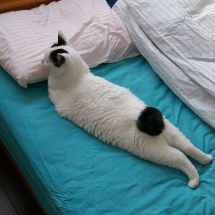 男生邀请奶奶走毕业红毯：她从小照顾我，最辛苦功劳最大