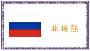 世界杯每个队伍介绍,德国世界杯外号什么队