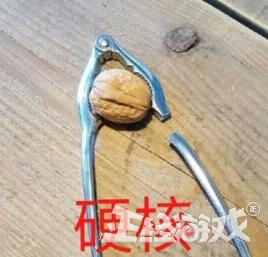 最硬核的游戏玩家只狼,史上最硬核的玩家