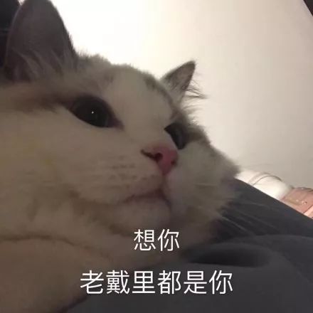 2018年世界杯土味情话撩妹,世界杯最经典的土味情话