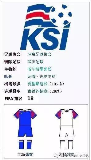 冰岛队的守门员,冰岛守门员