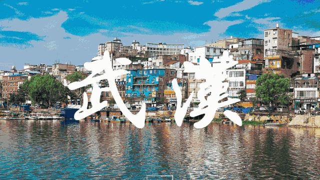 中国外交主场优势,外交主场系列