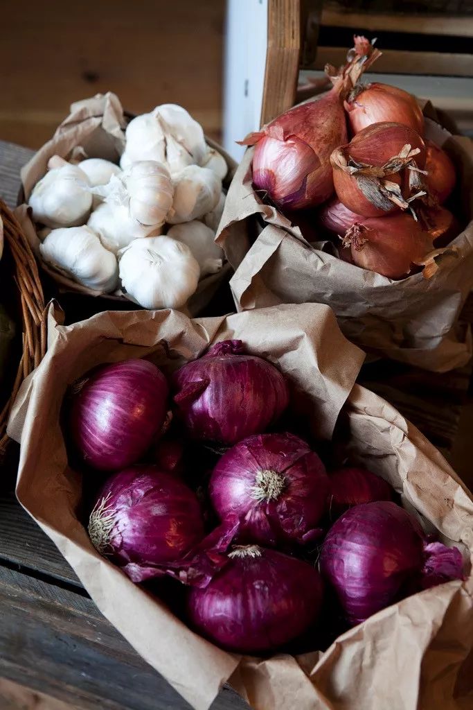 洗衣粉白糖米饭除蟑螂,一勺洗衣粉灭蟑螂