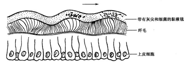 吃过鼻屎的人是一种病吗,吃到鼻屎是不是大问题