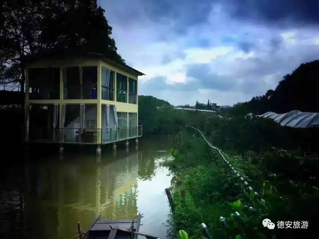 从A到Z，26个字母，陪你领略赣北德安的热辣风情！