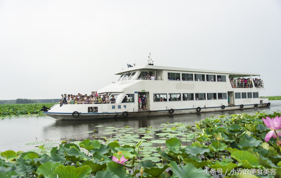 山东微山滑鱼丸怎么做的好吃,微山湖特点鱼丸汤