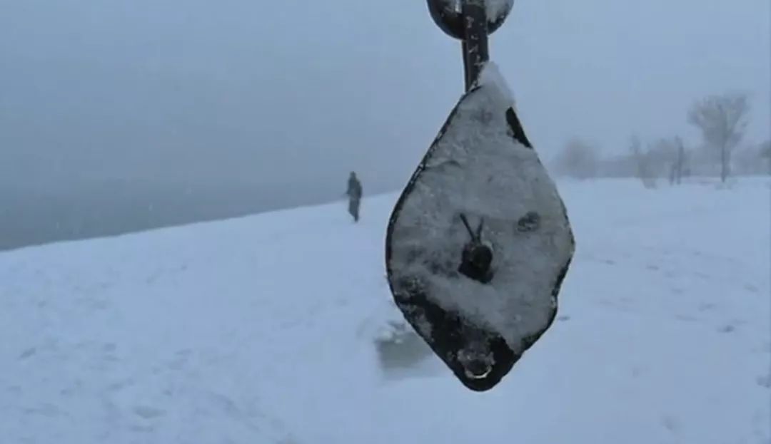 你看见穿过草地从雾中飘来的死气了吗｜罗伯特·瓦尔泽