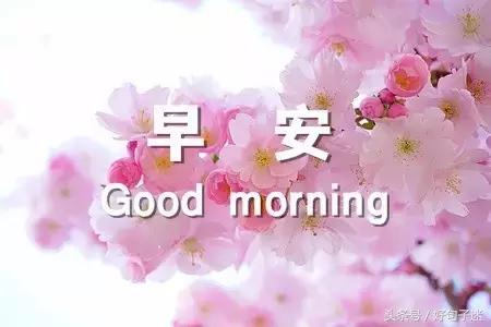 美好的早安祝福语微信集锦78句,早安祝福语简短早上好