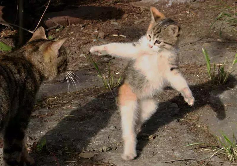 美丽新时代全集免费,美丽新时代3