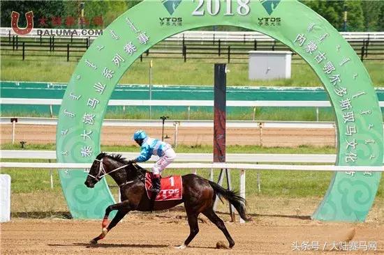 马术比赛纯血马,2018蒙古赛马传统耐力赛视频