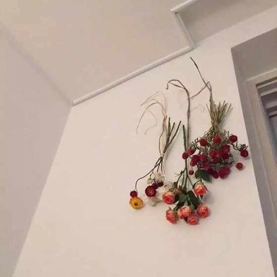 结婚后如何羡慕单身的人,结婚后该羡慕单身的人吗