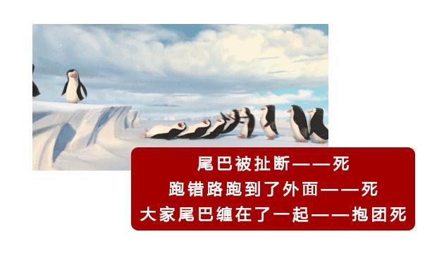 一直以为自己是跑得最快的那颗精子，原来并不是……