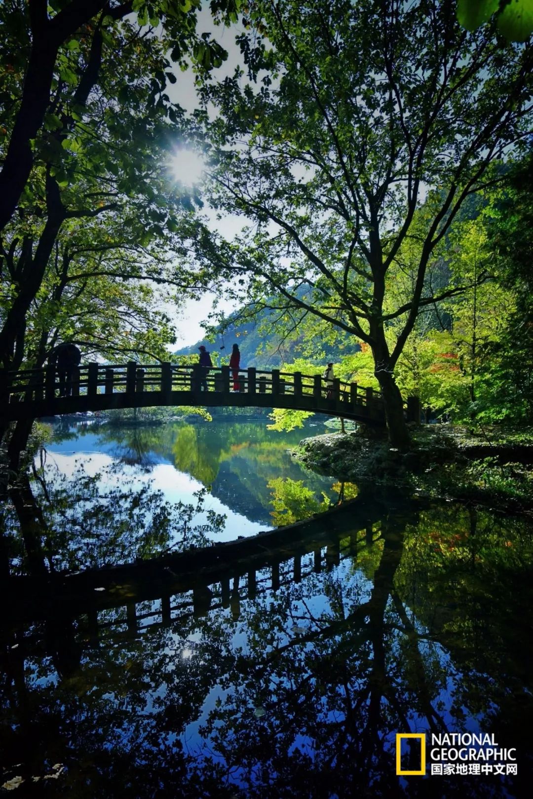 韩国足球的犯规艺术,韩国踢足球犯规现场