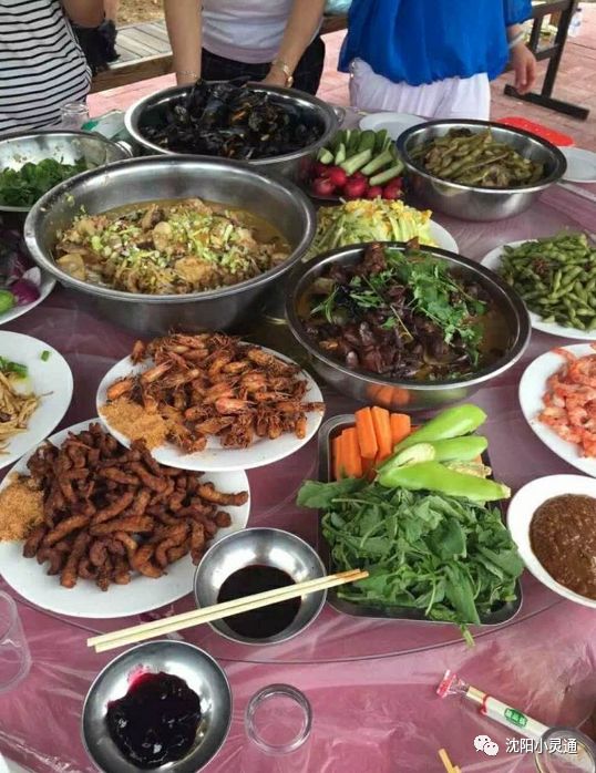 沈阳小市一庄一日游攻略,沈阳苏家屯旅游攻略一日游