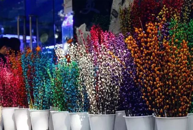 苏州皮市街花鸟市场要拆吗,苏州皮市街花鸟市场搬到哪里