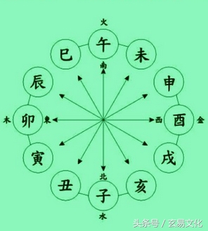 子丑寅卯辰申酉戌亥分阴阳,十二地支子丑寅戌亥