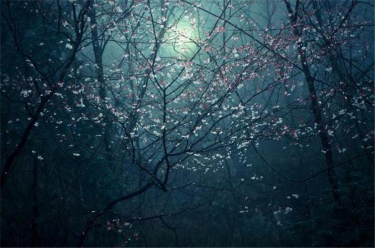 安徽自驾游小众景点,安徽旅游必去十大景点皖南古村落