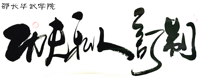 邵长华武术培训视频,邵长华武术教学