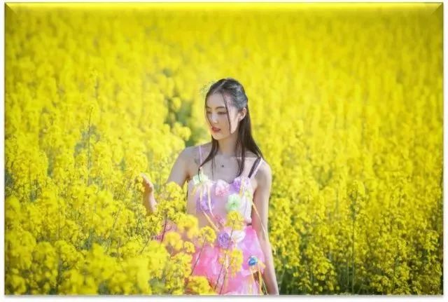 绵阳高新区啤酒节,长虹大道绵阳啤酒节