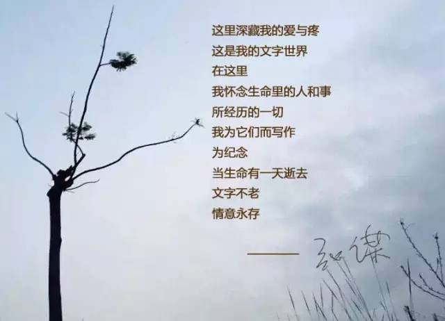 「非虚构」风口：以亲历起底微商（中）