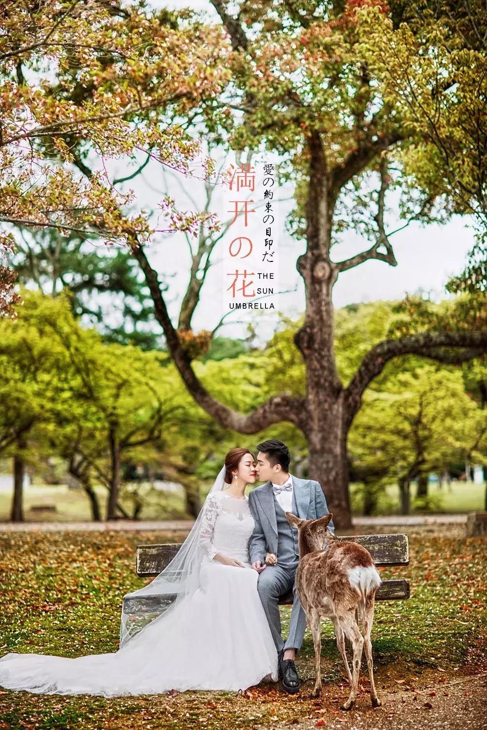 如何在海边拍出婚纱照,如何拍出好看的婚纱照