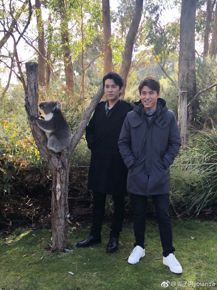 左小青和靳东如果岁月可回头花絮,靳东左小青电视剧如果岁月可回头