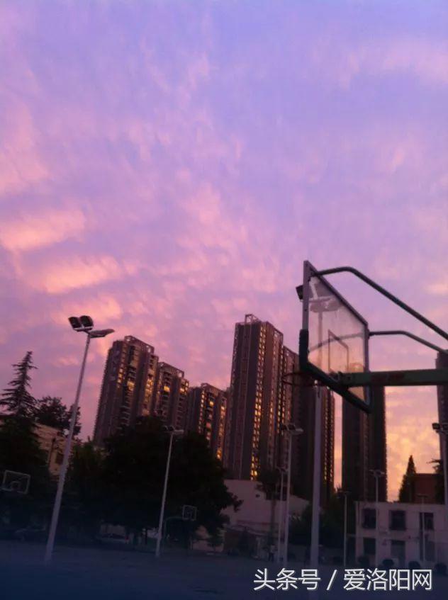 再见原作,再见渡边淳一