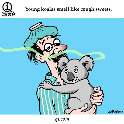 呼和浩特5月9日天气预报,呼和浩特天气穿衣指南7月