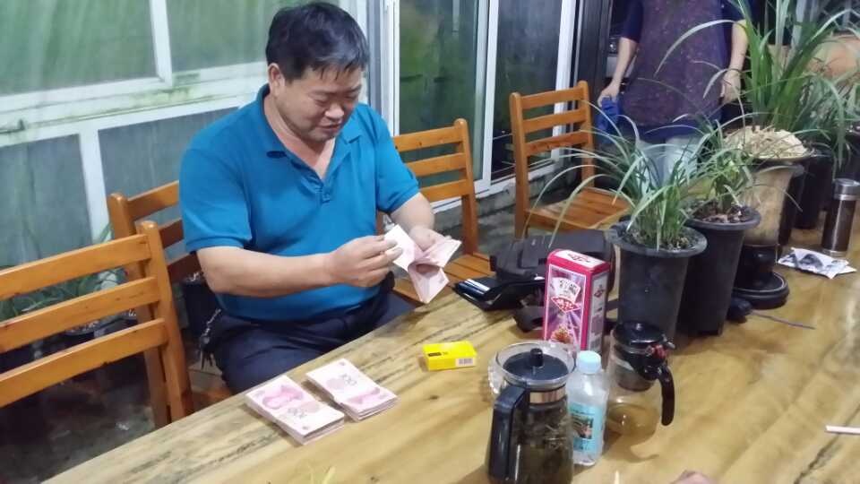 那些年兰花为什么价格会持续走高,为什么同一品种的兰花价格不一样