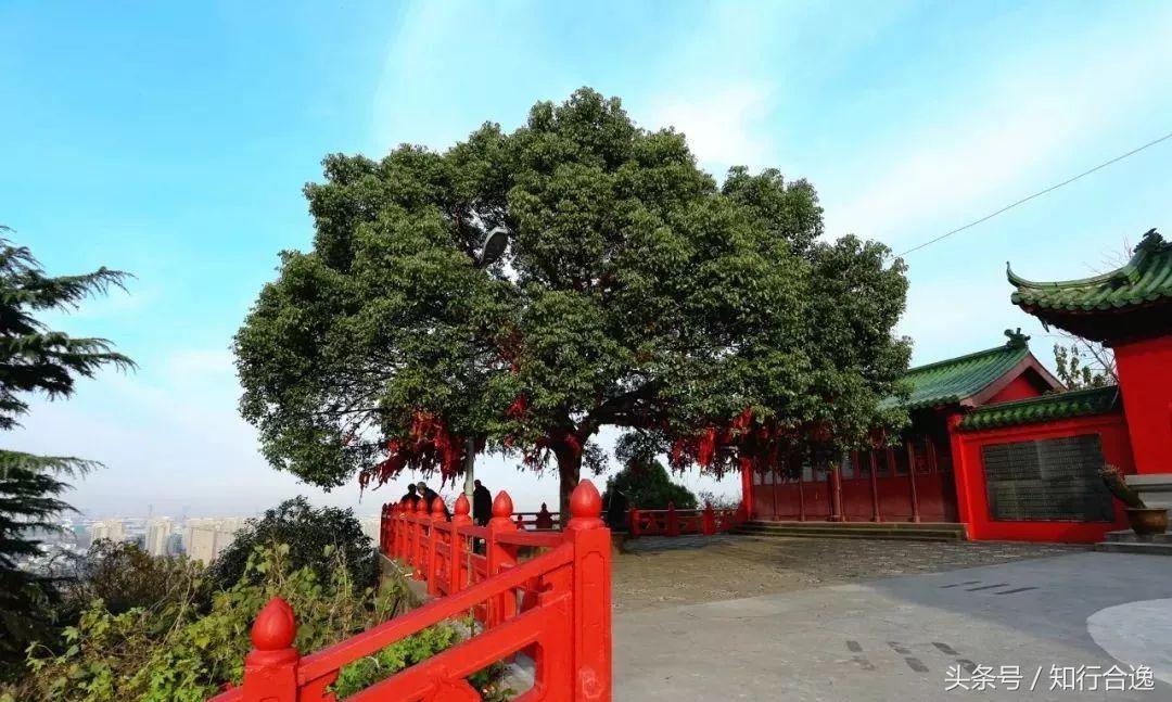 华东赛区全部赛事,华东十城市暨长三角田径邀请赛