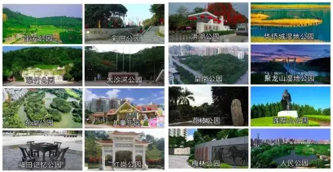 我叫深圳，这是我的个人简历，请查看！