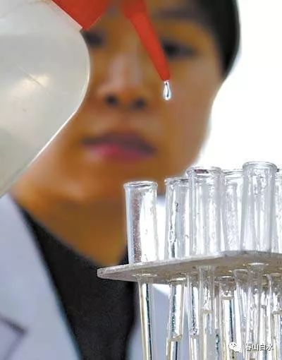 巴西爆发的丑闻,巴西足坛乱象频发