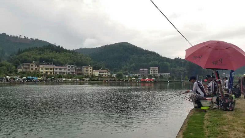 串钩如何打窝上鱼最快野钓方法,串钩钓鲫鱼用几个钩中鱼率最高