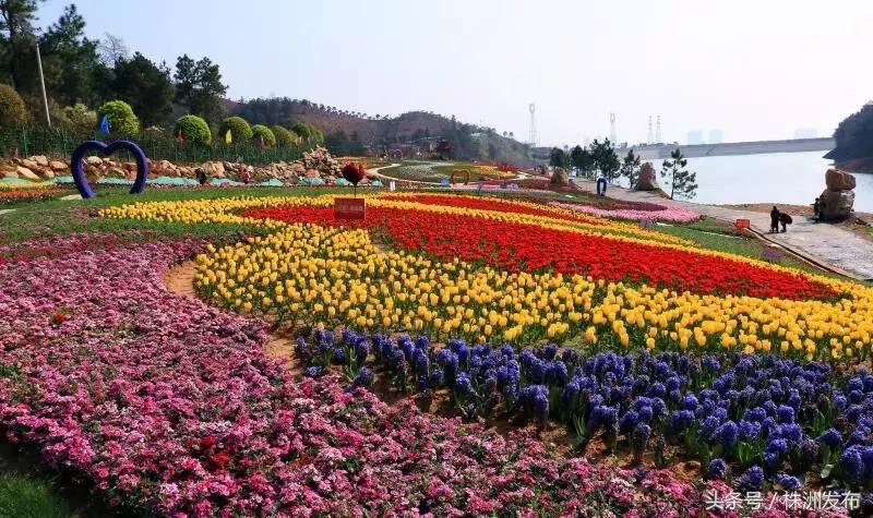 推广先进技术助力农业丰收,茶陵县英正田园种养生态农业