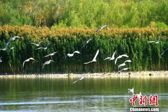 国学经典金句释义,国学经典醍醐灌顶豁然顿悟