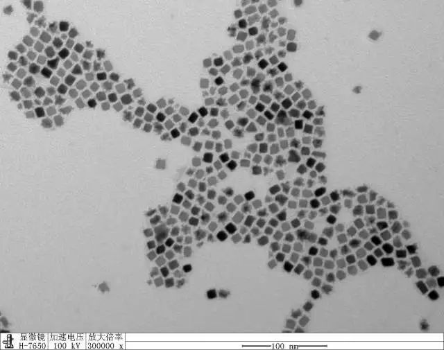 微观世界｜这样的世界杯，你见过吗？