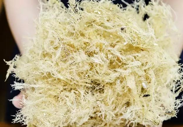 冰粉龟苓膏的制作方法全过程,烧仙草和龟苓膏和冰粉的功效