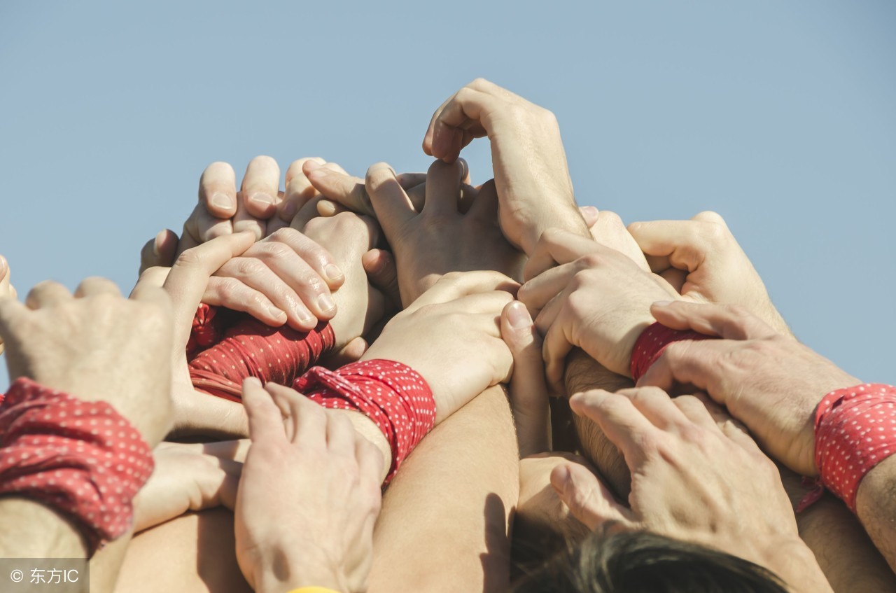 每天分享一个创业项目,分享创业项目