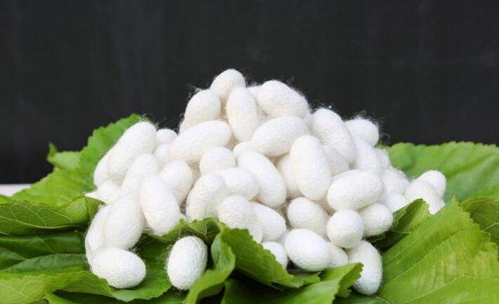 醋酯纤维和涤纶锦纶哪个好,醋酯纤维面料和涤纶哪个好