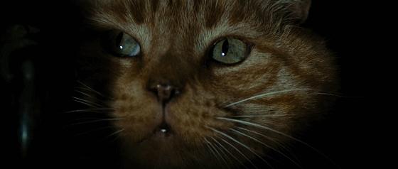 北检君看“法”：帮网友申请QQ，暗记密码偷偷转账