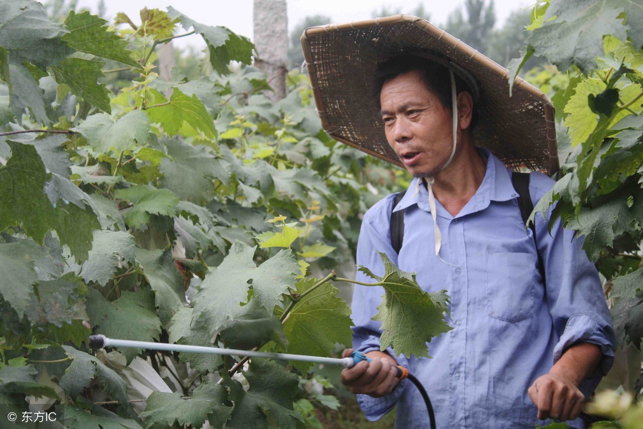 十大杀菌剂混配表,各种杀菌剂