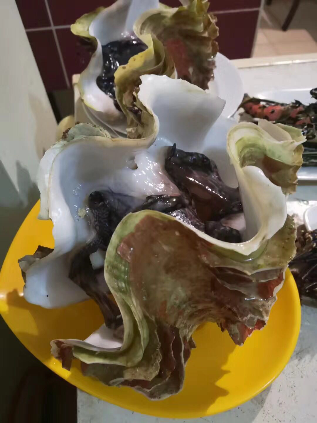 帕劳海岛游哪最好,帕劳海岛必去景点