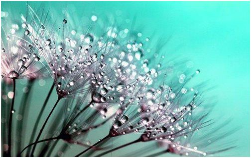 美丽的灵魂来源于善良的心,美丽人生活在当下