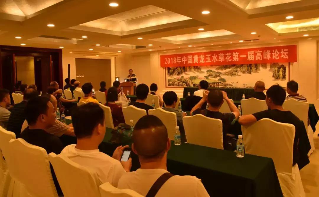 黄龙玉水草花亮点,顶级黄龙玉水草花