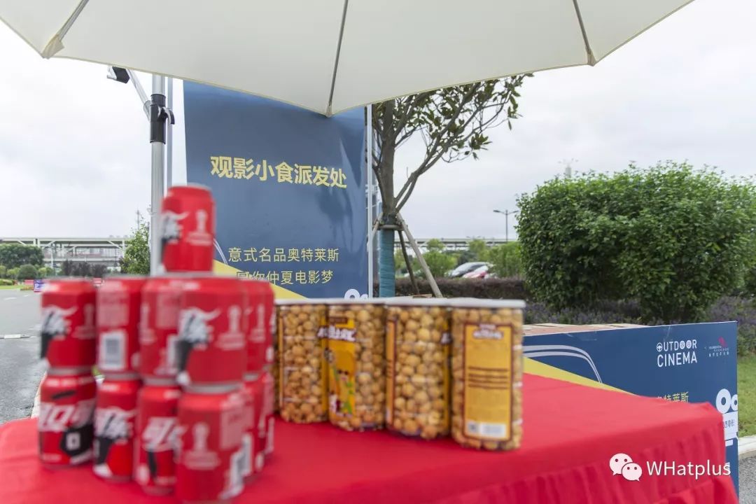 武汉新建的打卡小镇,武汉的一座小镇